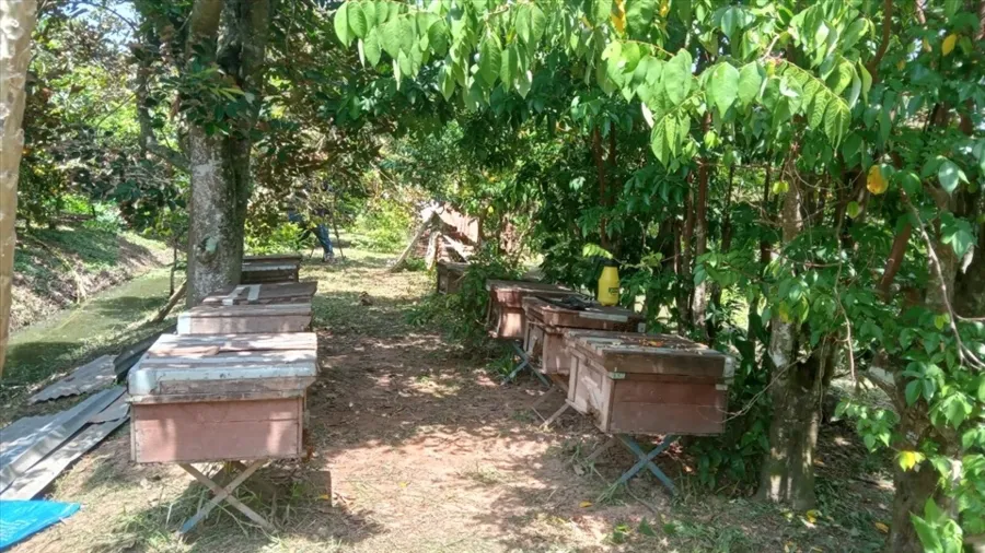 item image 745 album của tour Tây đô Cần Thơ