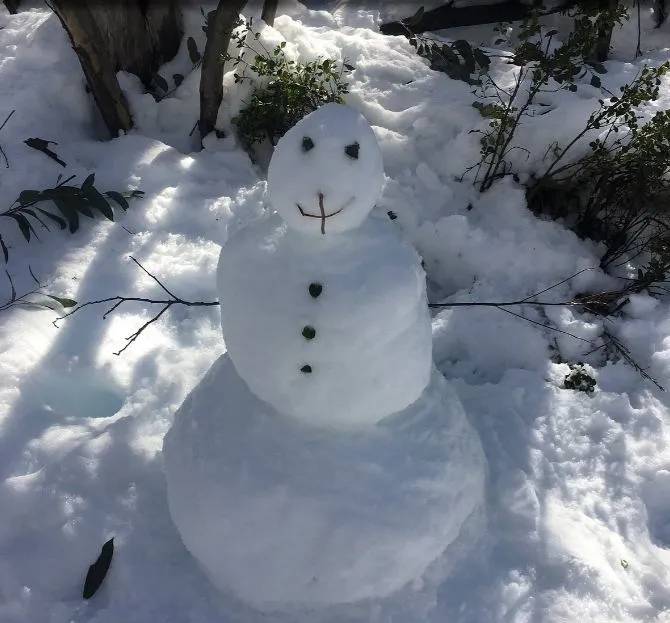 item image 713 album của tour Việt booking - VietBooking - Vbooking - Trượt tuyết núi Perisher