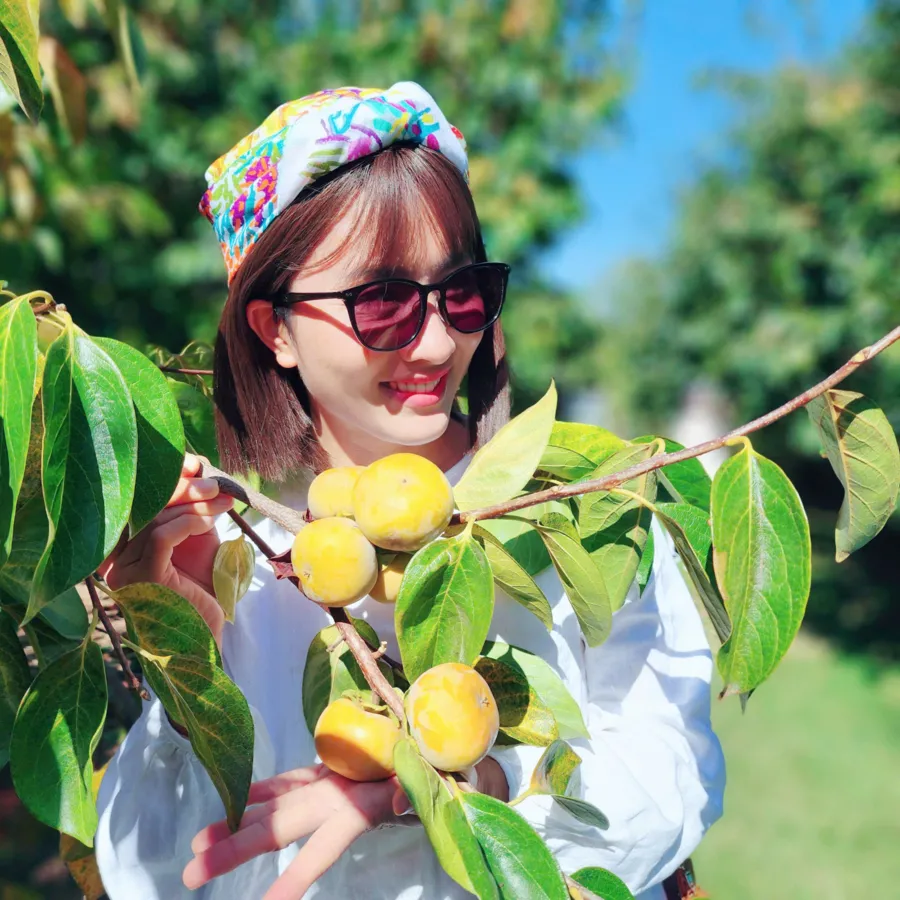 item image 688 album của tour Việt booking - VietBooking - Vbooking - Lá thu thị trấn Bright