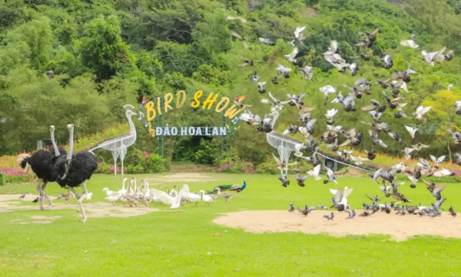 item image 775 album của tour Đà Lạt-Nha Trang 5 ngày 4 đêm