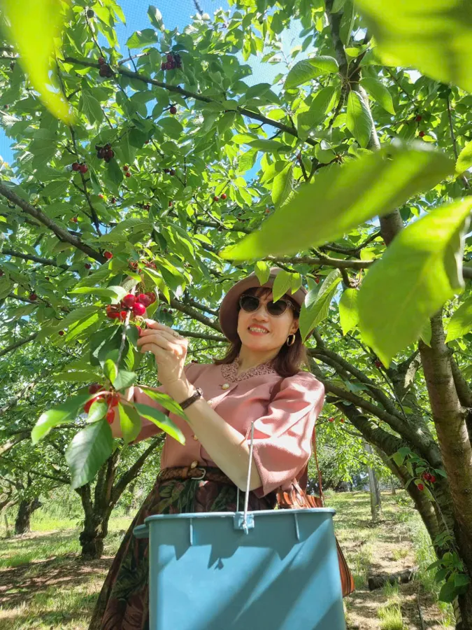 item image 828 album của tour HÁI CHERRY SYDNEY, hái dâu Sydney