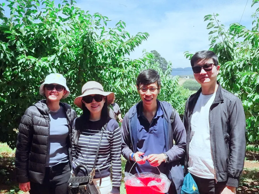 item image 827 album của tour HÁI CHERRY SYDNEY, hái dâu Sydney