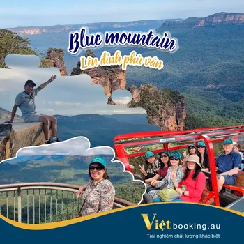 Blue Mountain - Trải nghiệm lên đỉnh phù vân